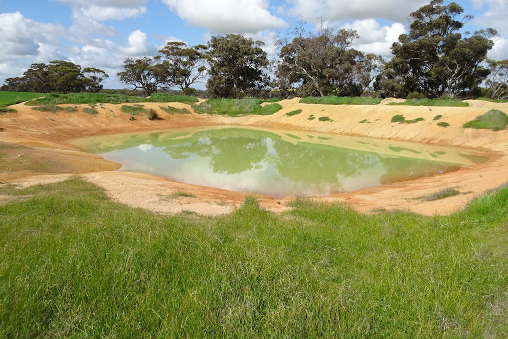 Giles Road, East Pingelly, WA, 6308 - Image 12
