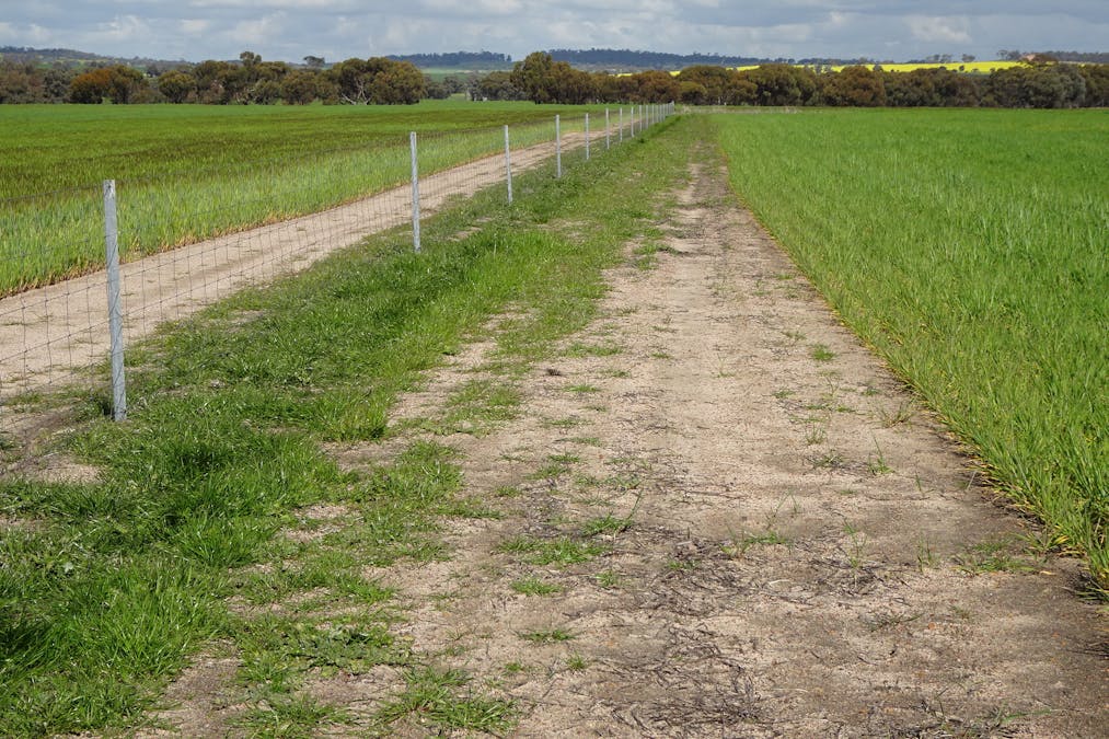 Giles Road, East Pingelly, WA, 6308 - Image 21