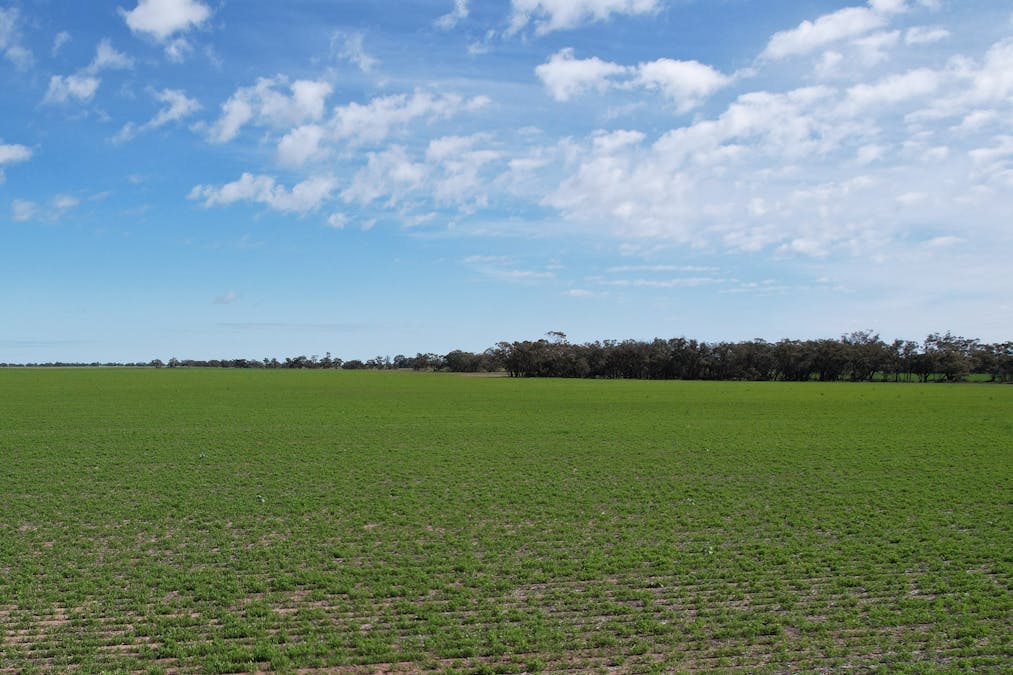 Barbers Road, Thalia, VIC, 3527 - Image 2