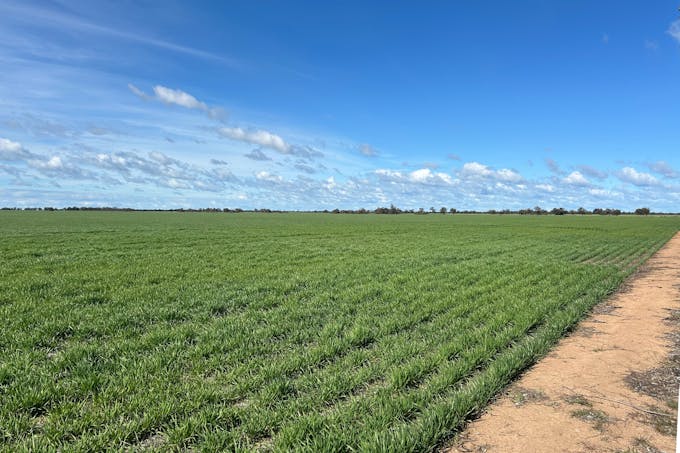 Barbers Road, Thalia, VIC, 3527 - Image 1