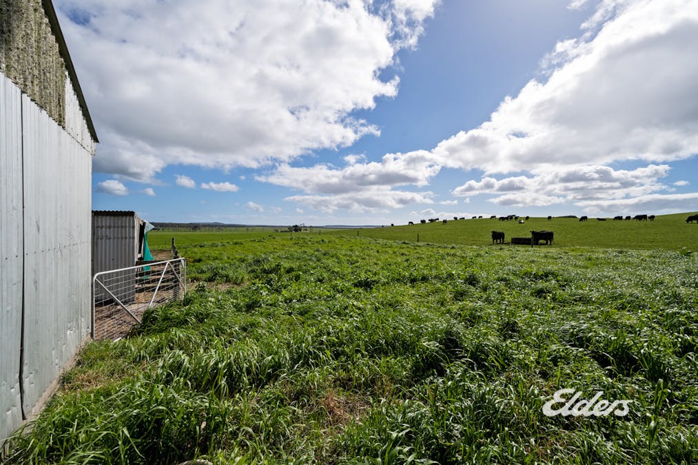 1642 Montagu Road, Montagu, TAS, 7330 - Image 20