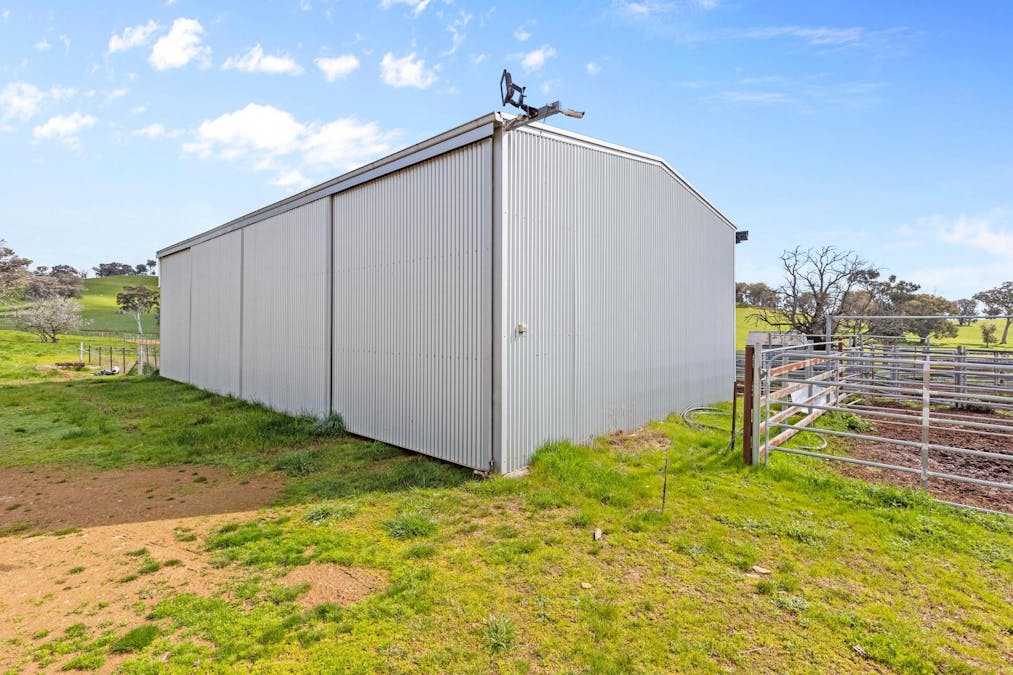 170 Wilds Road, Tarcutta, NSW, 2652 - Image 7