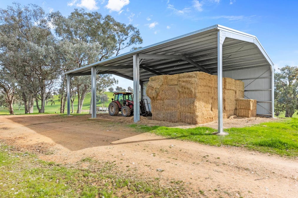 170 Wilds Road, Tarcutta, NSW, 2652 - Image 9