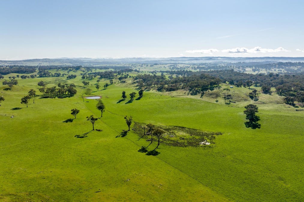 170 Wilds Road, Tarcutta, NSW, 2652 - Image 11