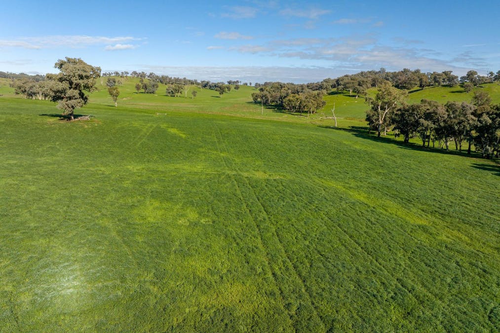 170 Wilds Road, Tarcutta, NSW, 2652 - Image 12