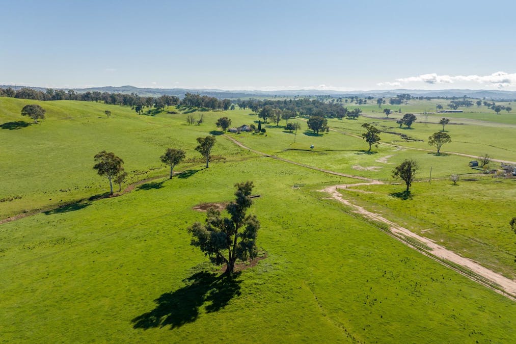 170 Wilds Road, Tarcutta, NSW, 2652 - Image 13