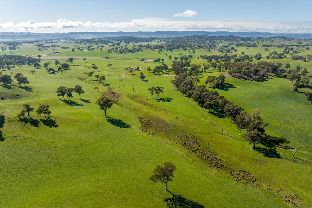 170 Wilds Road, Tarcutta, NSW, 2652 - Image 14
