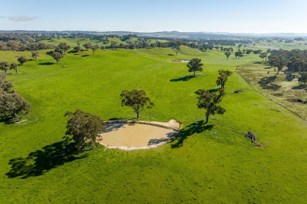 170 Wilds Road, Tarcutta, NSW, 2652 - Image 15