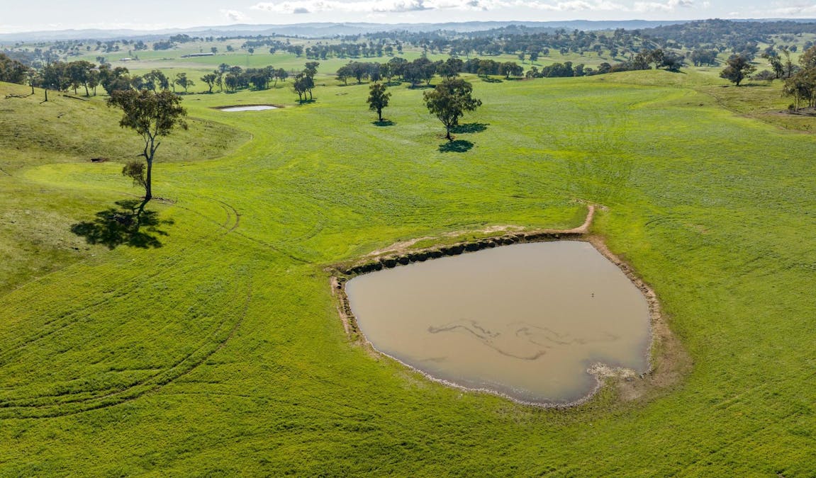 170 Wilds Road, Tarcutta, NSW, 2652 - Image 16