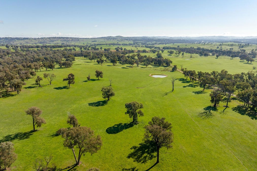 170 Wilds Road, Tarcutta, NSW, 2652 - Image 17