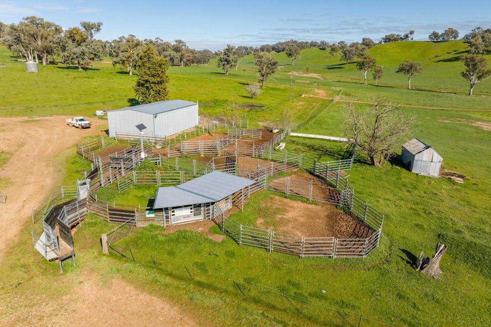 170 Wilds Road, Tarcutta, NSW, 2652 - Image 10