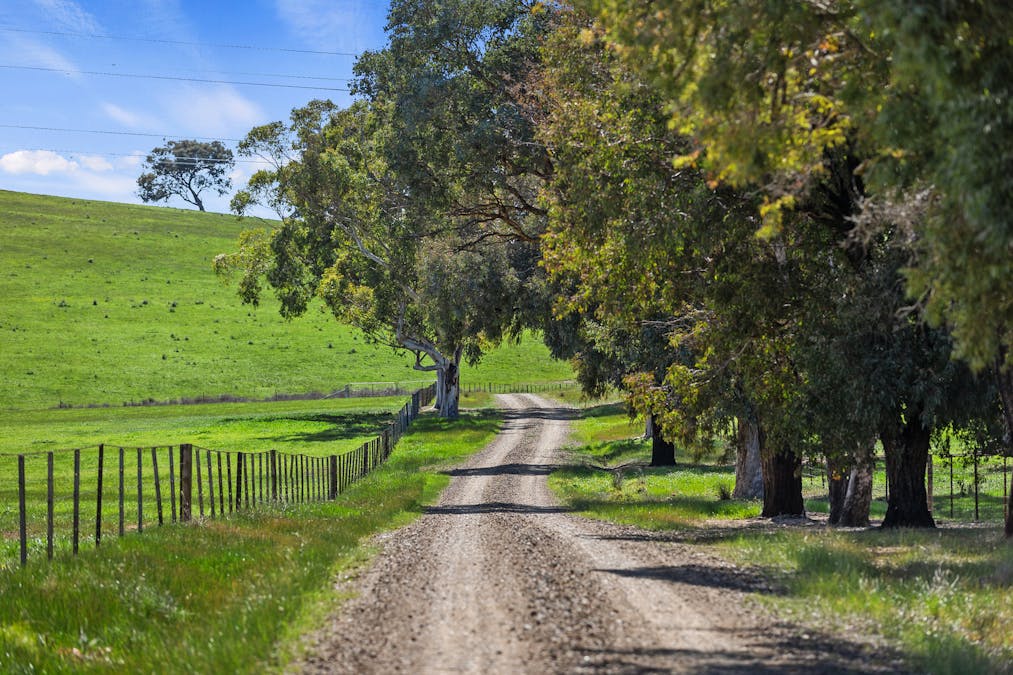 326 Chivers Road, Glenrowan West, VIC, 3675 - Image 4