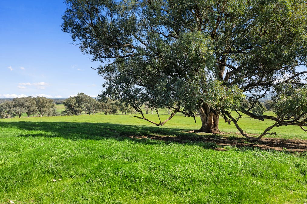 326 Chivers Road, Glenrowan West, VIC, 3675 - Image 34