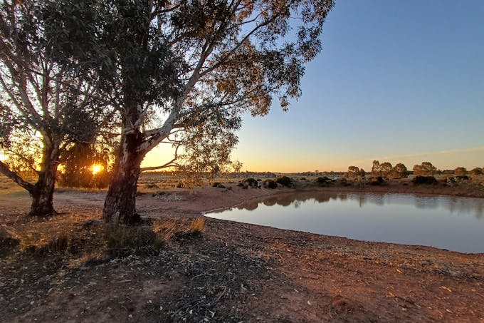 Lagoon Creek Road, Minore, NSW, 2830 - Image 1