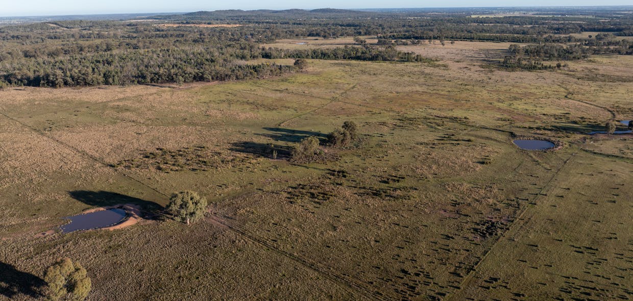 Lagoon Creek Road, Minore, NSW, 2830 - Image 19
