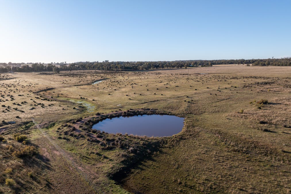 Lagoon Creek Road, Minore, NSW, 2830 - Image 18