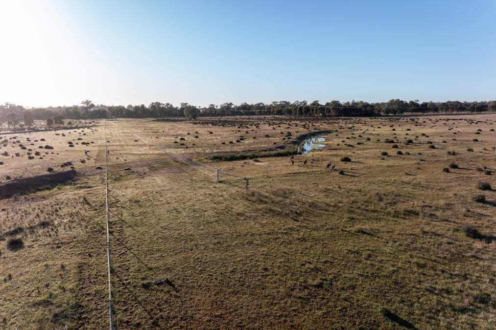 Lagoon Creek Road, Minore, NSW, 2830 - Image 6