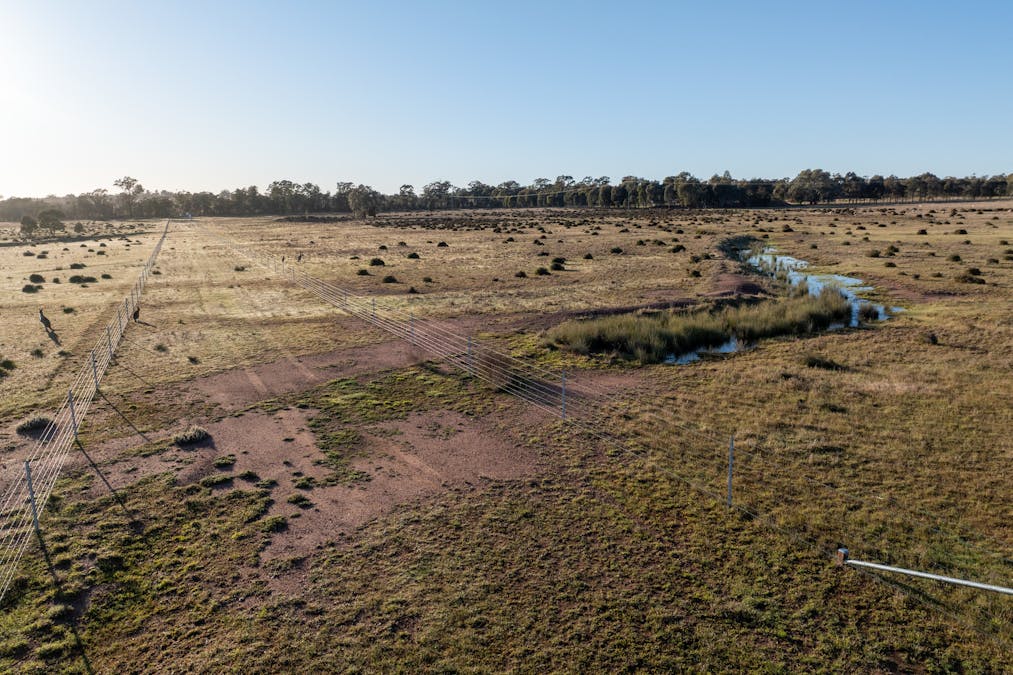 Lagoon Creek Road, Minore, NSW, 2830 - Image 10