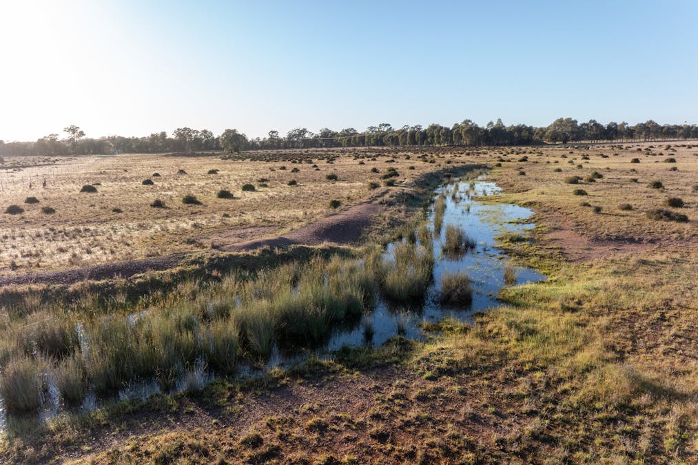Lagoon Creek Road, Minore, NSW, 2830 - Image 11