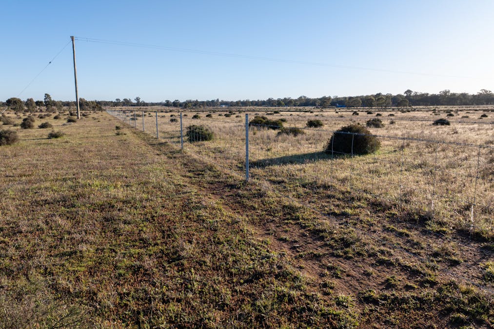 Lagoon Creek Road, Minore, NSW, 2830 - Image 12
