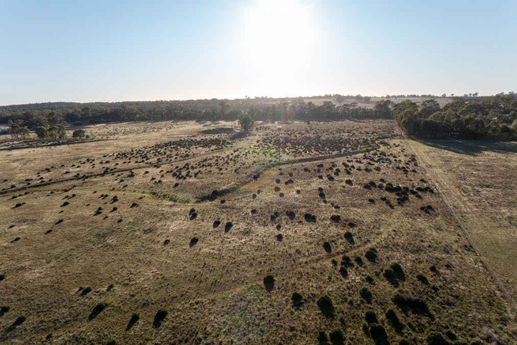 Lagoon Creek Road, Minore, NSW, 2830 - Image 13