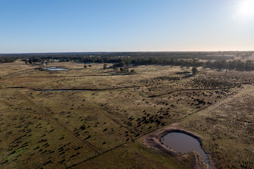 Lagoon Creek Road, Minore, NSW, 2830 - Image 14