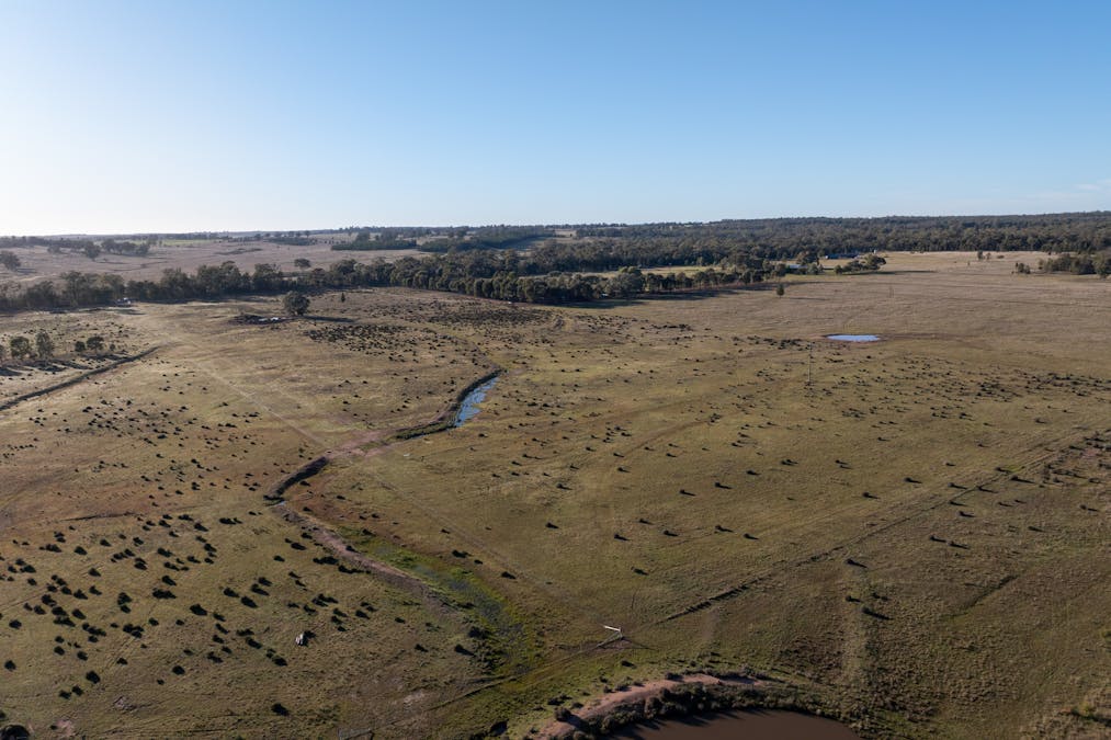 Lagoon Creek Road, Minore, NSW, 2830 - Image 4