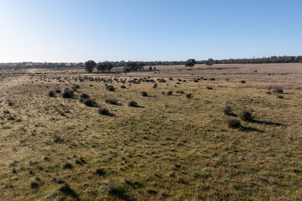 Lagoon Creek Road, Minore, NSW, 2830 - Image 21