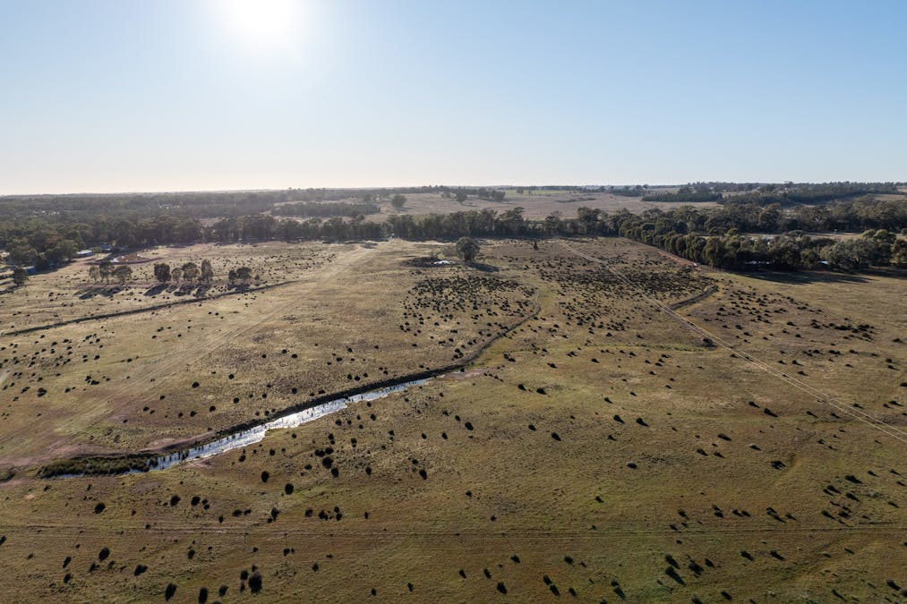 Lagoon Creek Road, Minore, NSW, 2830 - Image 22
