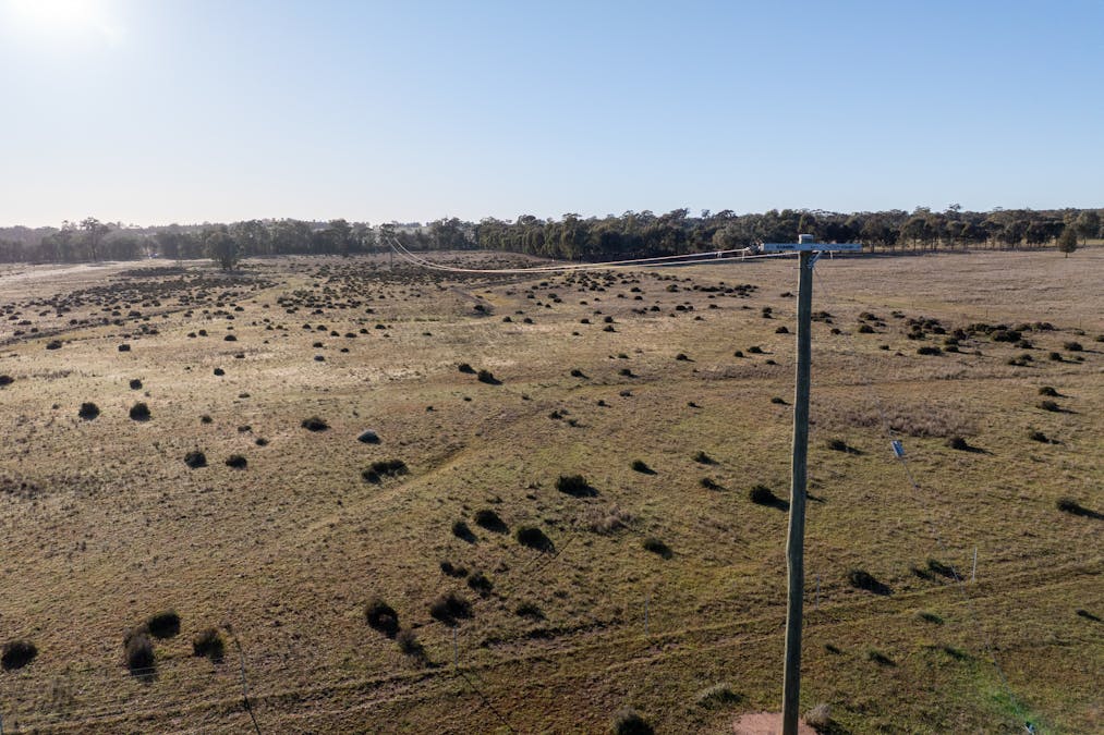 Lagoon Creek Road, Minore, NSW, 2830 - Image 24