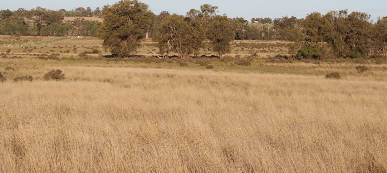 Lagoon Creek Road, Minore, NSW, 2830 - Image 25