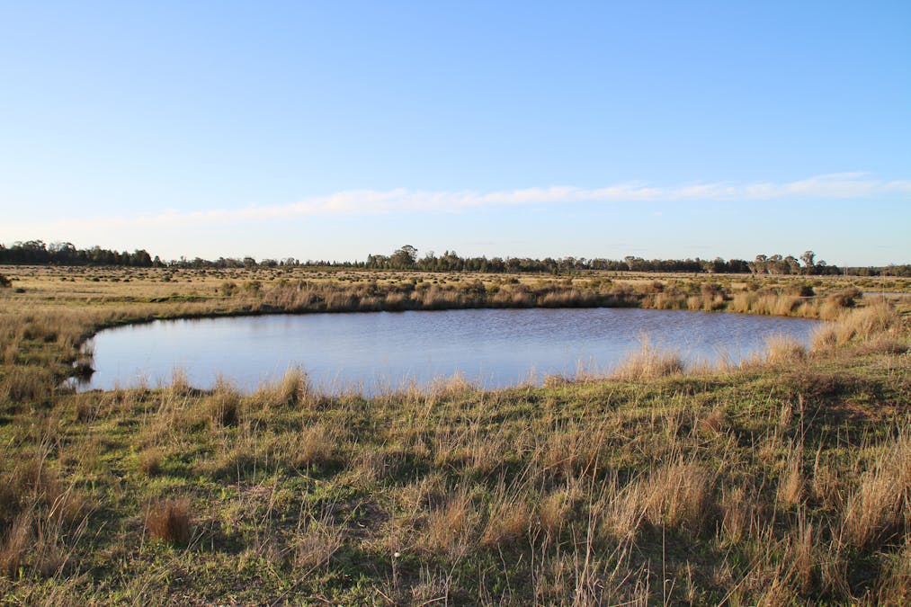 Lagoon Creek Road, Minore, NSW, 2830 - Image 26