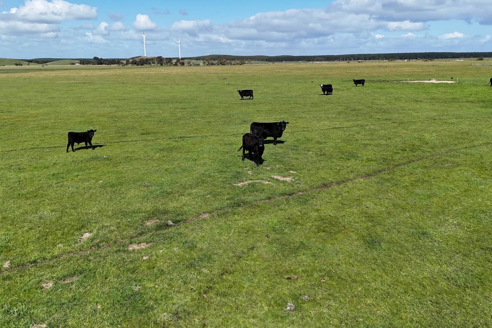 331 Brownes Flat Road, German Creek, SA, 5291 - Image 9