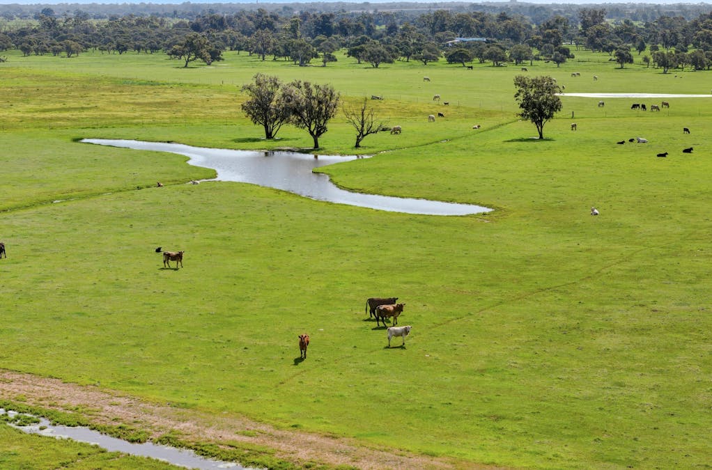 Dowdells Line, Paradise, WA, 6236 - Image 1