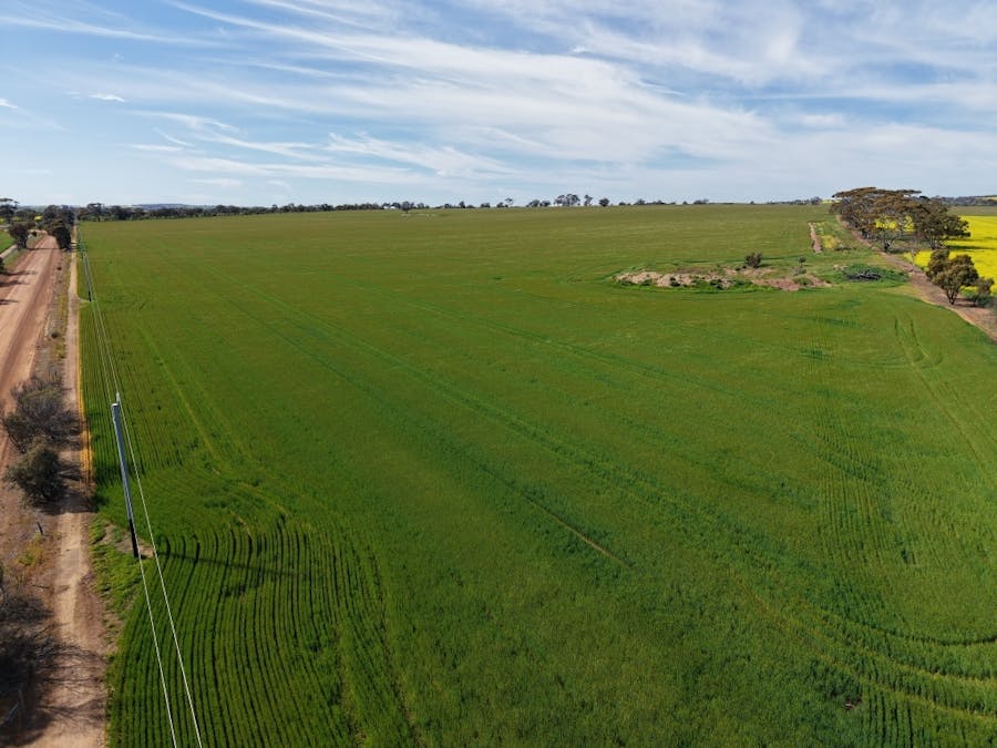 133 Allen Road, Greenhills, WA, 6302 - Image 13