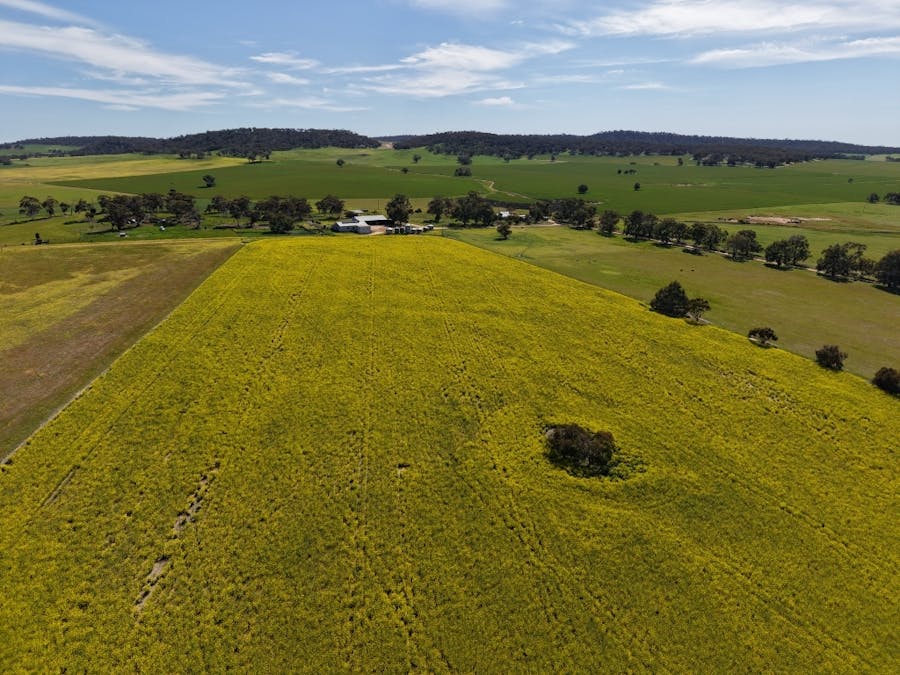 133 Allen Road, Greenhills, WA, 6302 - Image 2