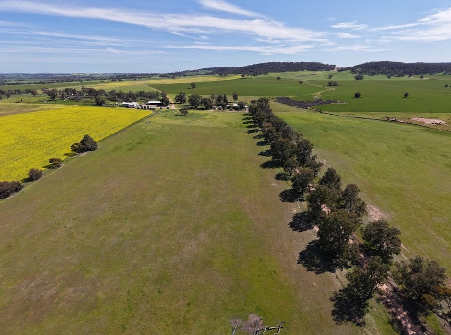 133 Allen Road, Greenhills, WA, 6302 - Image 34