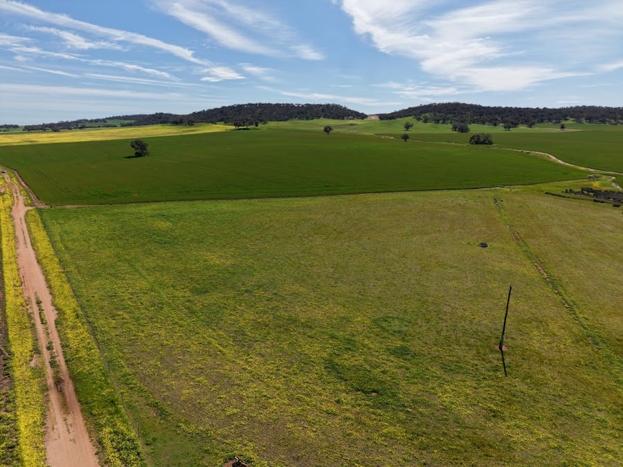 133 Allen Road, Greenhills, WA, 6302 - Image 18