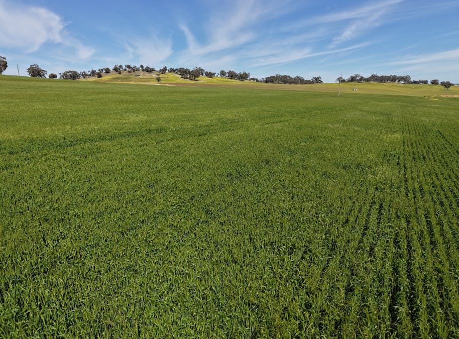 133 Allen Road, Greenhills, WA, 6302 - Image 28