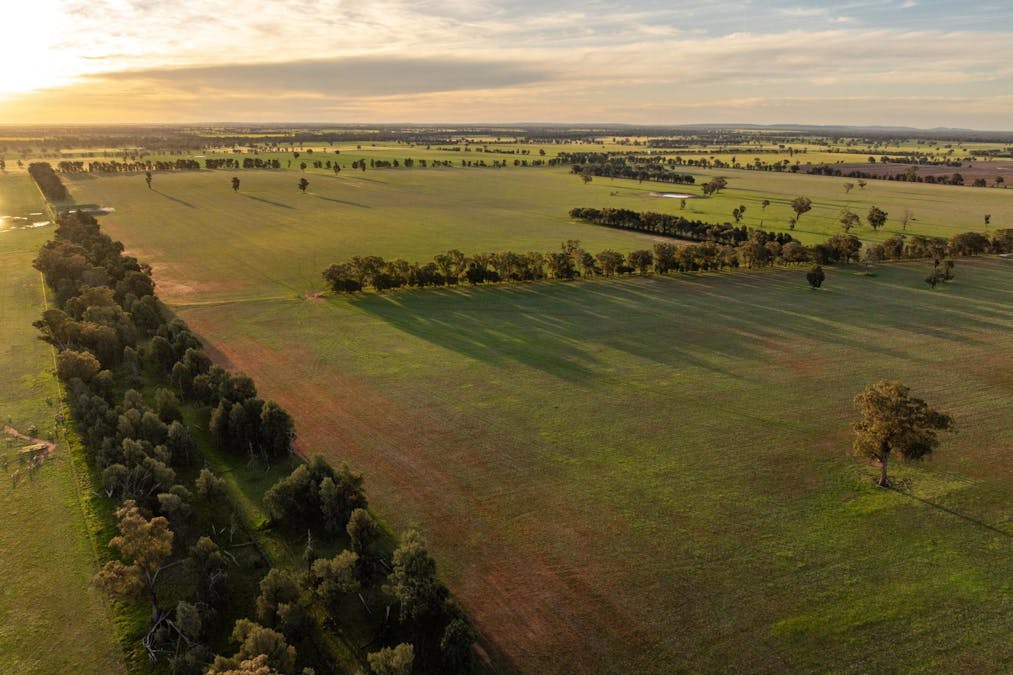 Weir Road, Galore, NSW, 2650 - Image 2
