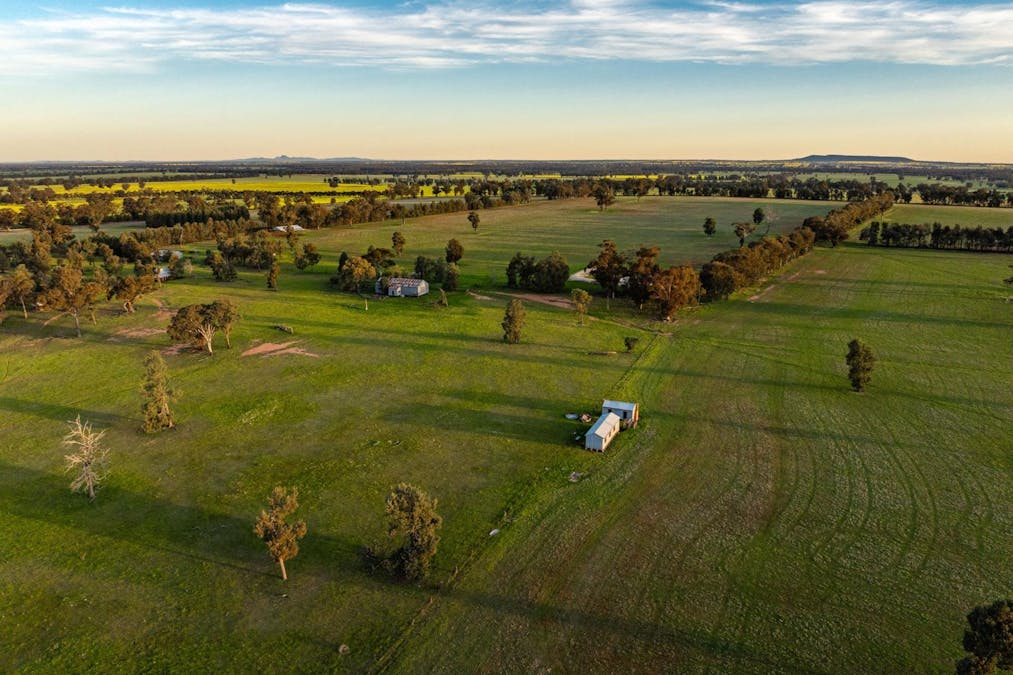 Weir Road, Galore, NSW, 2650 - Image 5