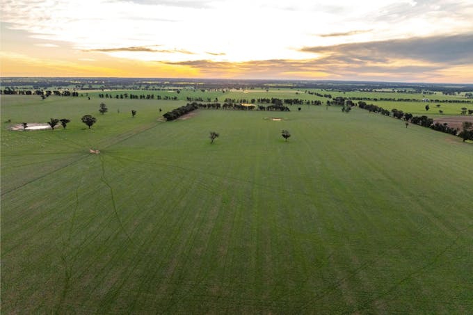 Weir Road, Galore, NSW, 2650 - Image 1