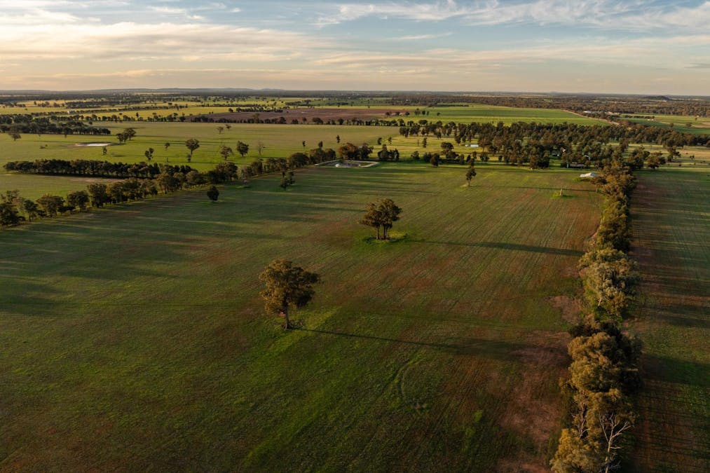 Weir Road, Galore, NSW, 2650 - Image 7