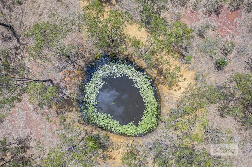 8 Aquarius Avenue, River Ranch, QLD, 4680 - Image 16