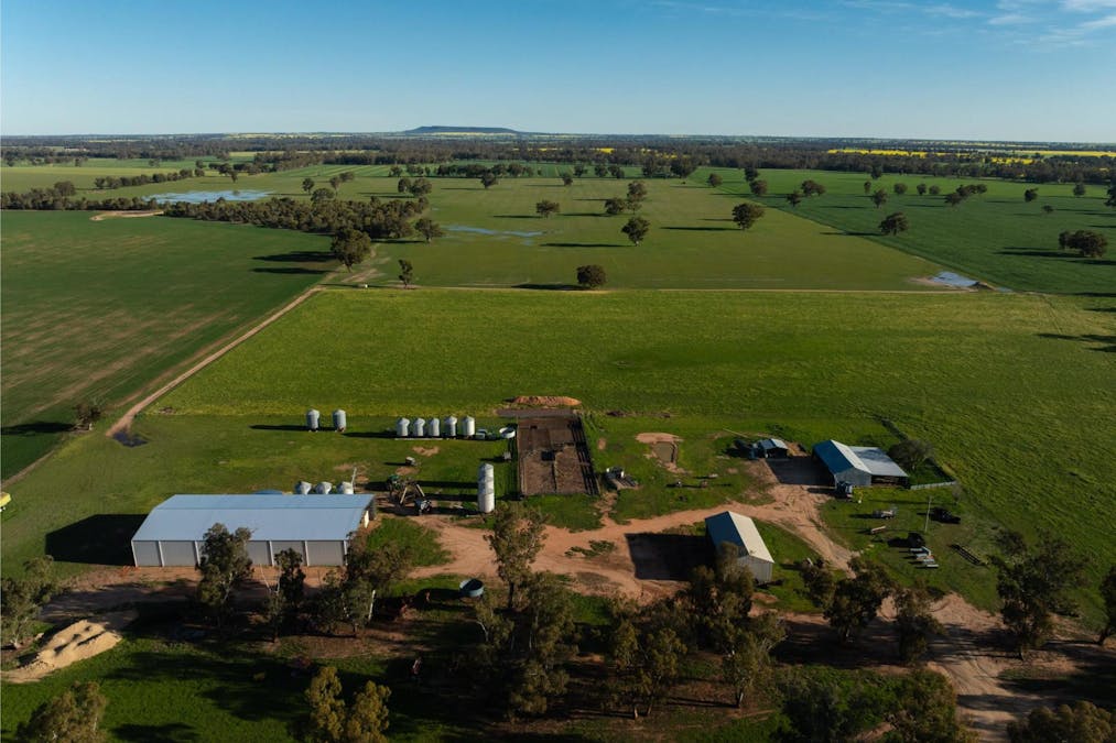 369 McKenzies Road, Galore, NSW, 2650 - Image 12