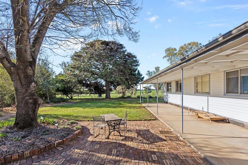 369 McKenzies Road, Galore, NSW, 2650 - Image 16