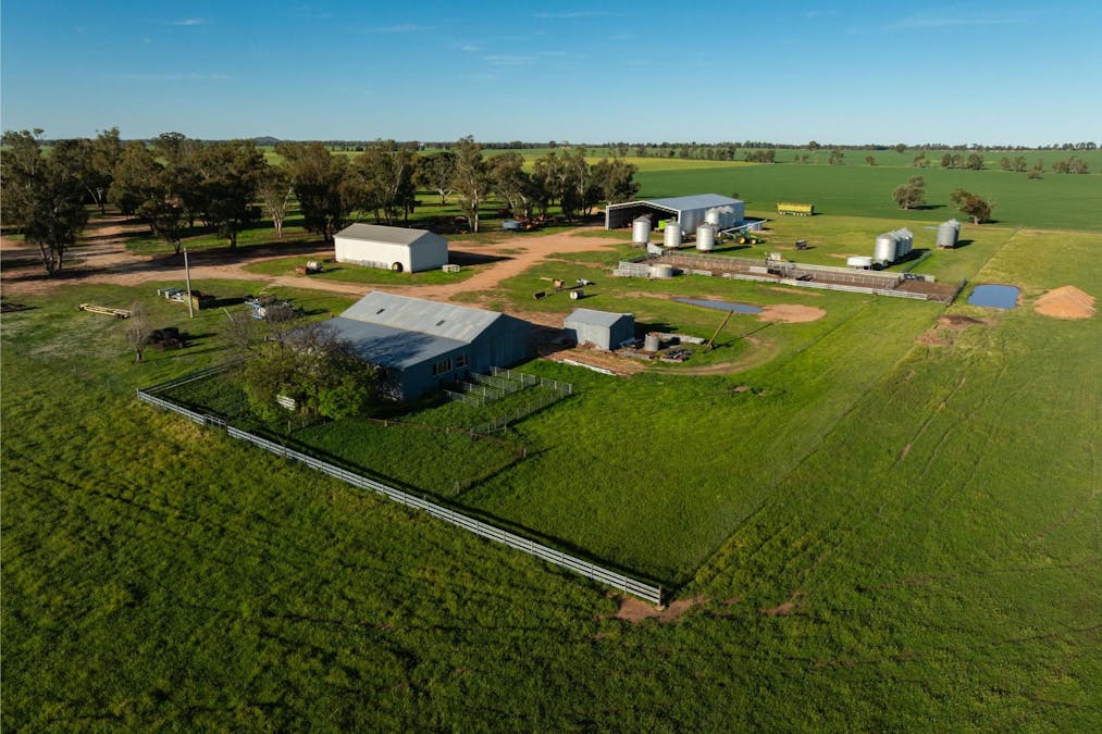 369 McKenzies Road, Galore, NSW, 2650 - Image 10