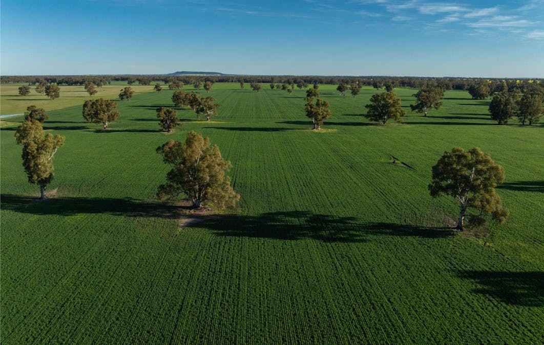 369 McKenzies Road, Galore, NSW, 2650 - Image 2