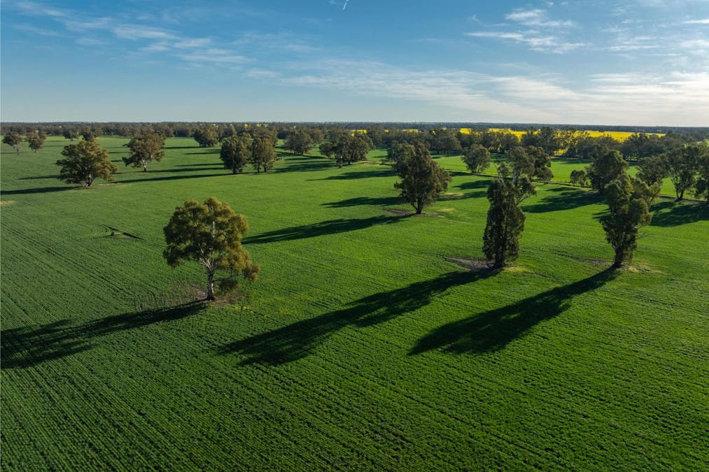 369 McKenzies Road, Galore, NSW, 2650 - Image 3