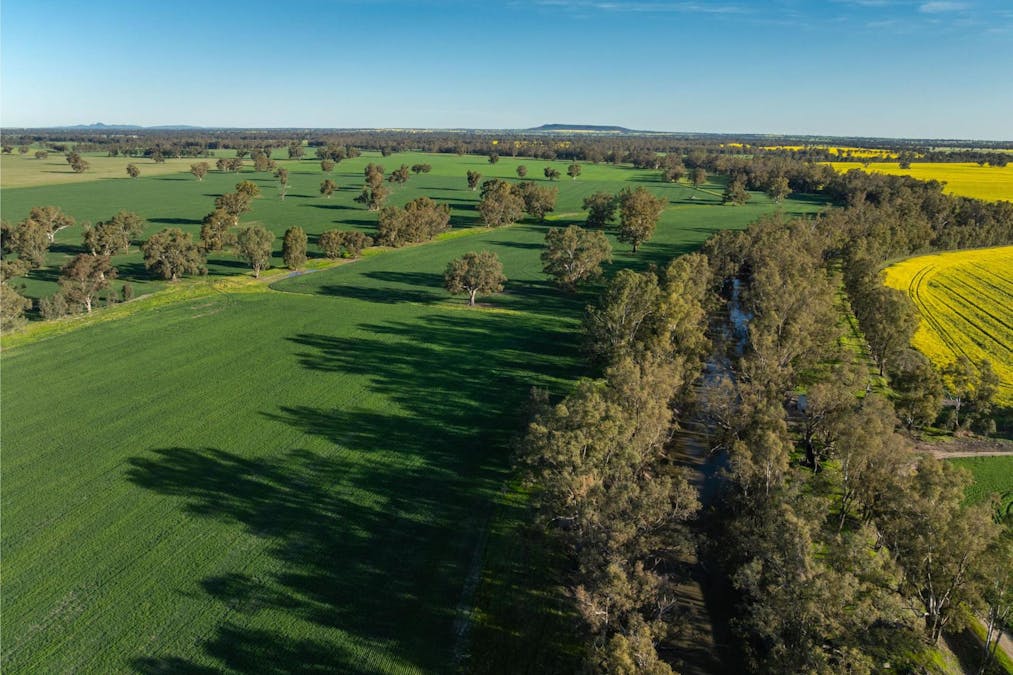 369 McKenzies Road, Galore, NSW, 2650 - Image 5